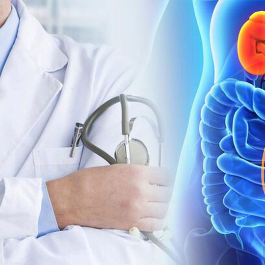 Urologia